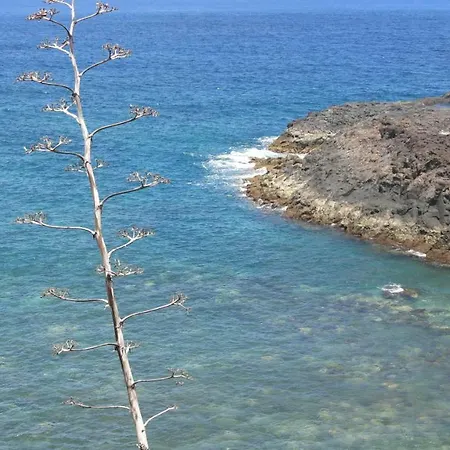El Roque 205 - Sustainability Off The Beaten Track Apartment Tacoronte
